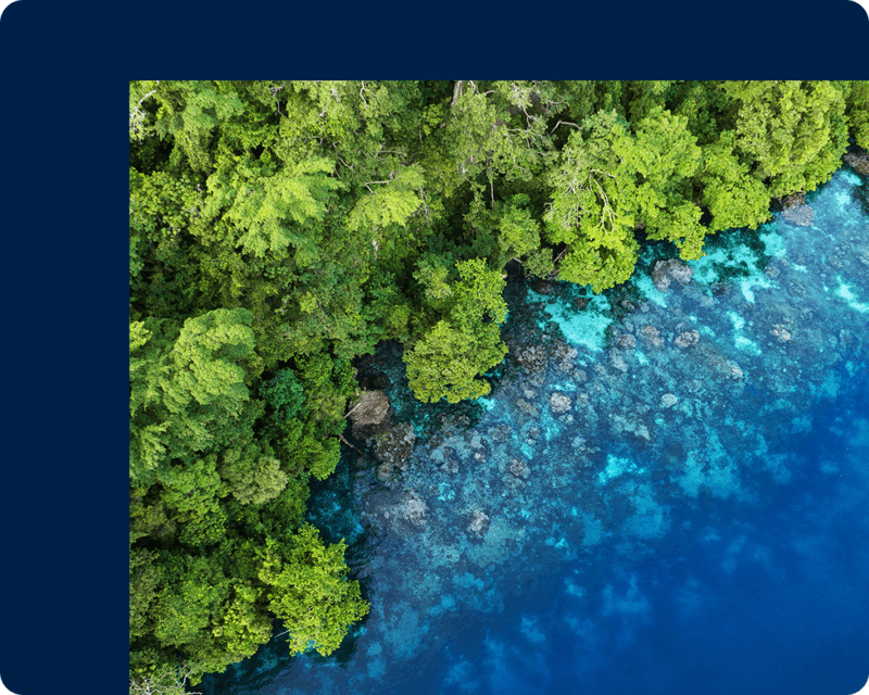 ESRI: Enabling Data-Driven Decisions Through GIS