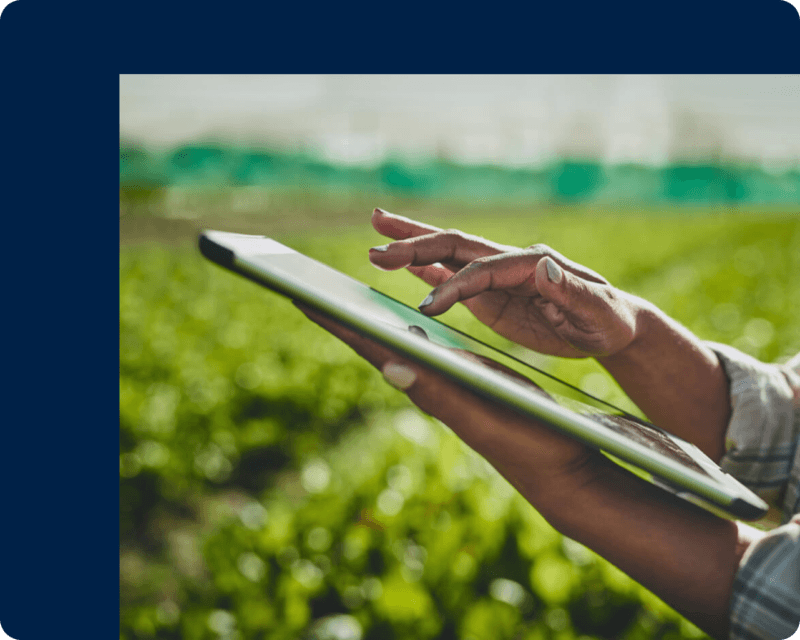 CS-VUE: Pioneering Environmental Compliance at Scale