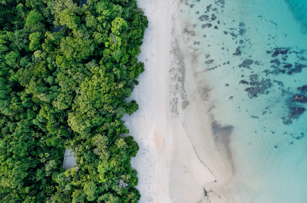 Sustainability & ESG